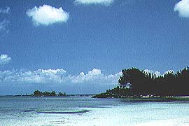 photo of beach
